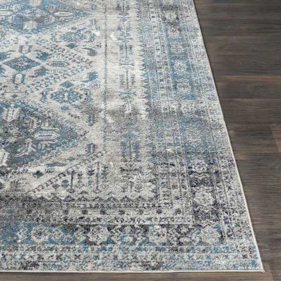 Surya Monte Carlo Mnc-2312 Light Gray Rug 2' X 3'