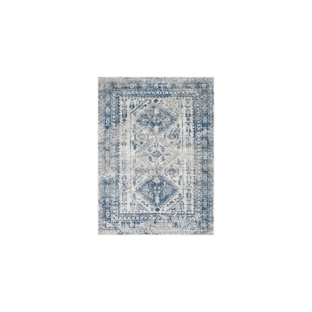 Surya Monte Carlo Blue Rug 10' X 14'