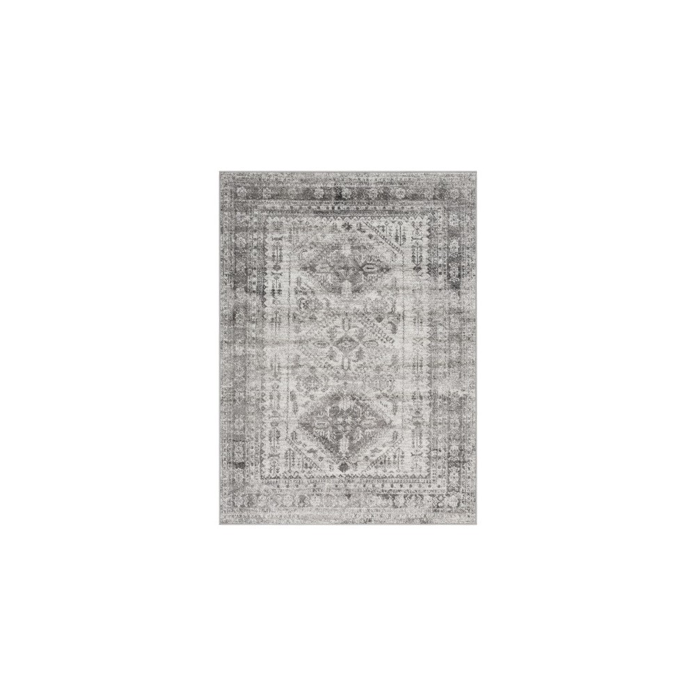 Surya Monte Carlo Mnc-2314 Light Gray Rug 10' X 14'