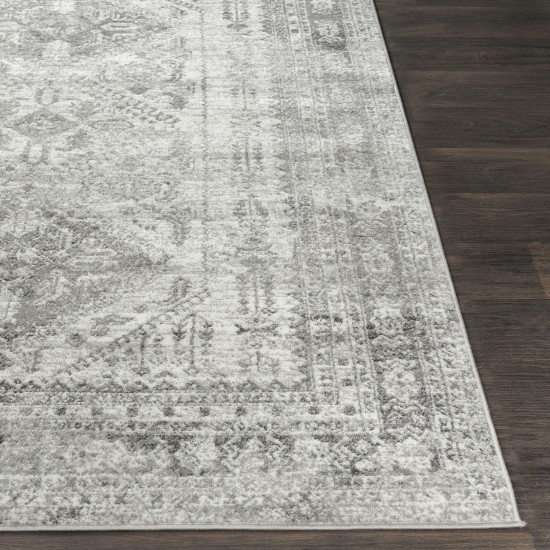 Surya Monte Carlo Mnc-2314 Light Gray Rug 2'7" X 12'