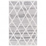 Surya Morocotton Mct-2306 Rug 2'1" X 3'9"