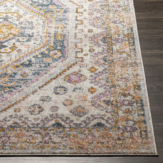 Surya New Mexico Nwm-2345 Blue Rug 5'3" X 7'3"