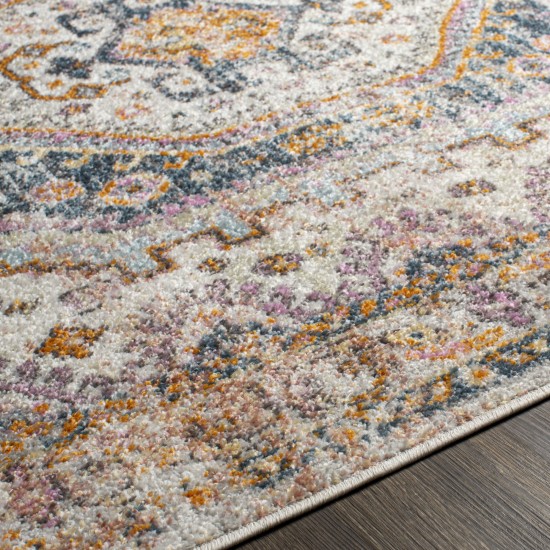Surya New Mexico Nwm-2345 Blue Rug 5'3" X 7'3"