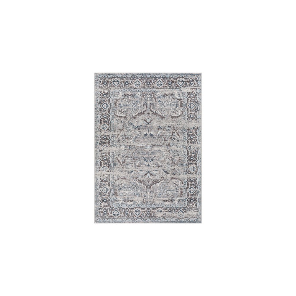 Surya New Mexico Nwm-2352 Blue Rug 2' X 3'