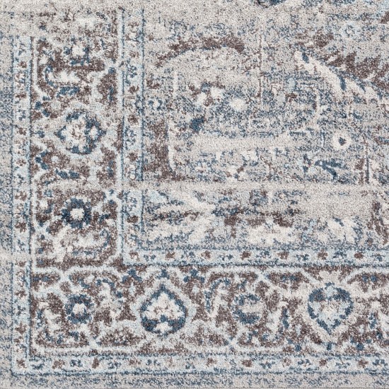 Surya New Mexico Nwm-2352 Blue Rug 7'10" X 10'3"