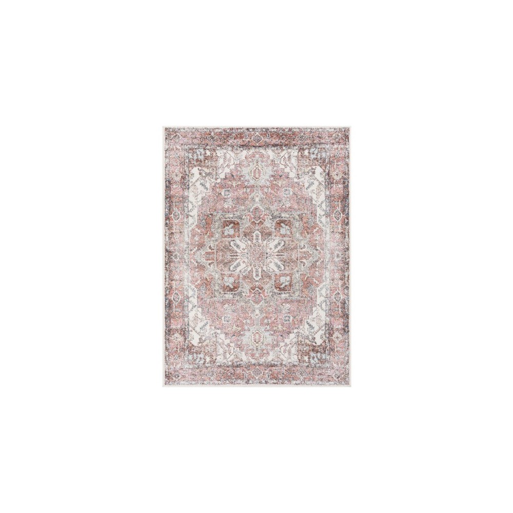 Surya New Mexico Nwm-2359 Dusty Coral Rug 7'10" X 10'3"