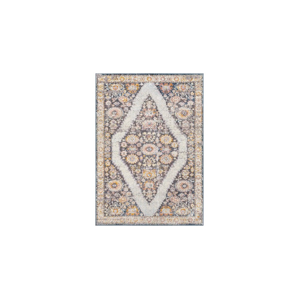 Surya New Mexico Nwm-2362 Burnt Orange Rug 5'3" X 7'3" Surya New Mexico Nwm-2362 Burnt Orange Rug 5'3" X 7'3"
