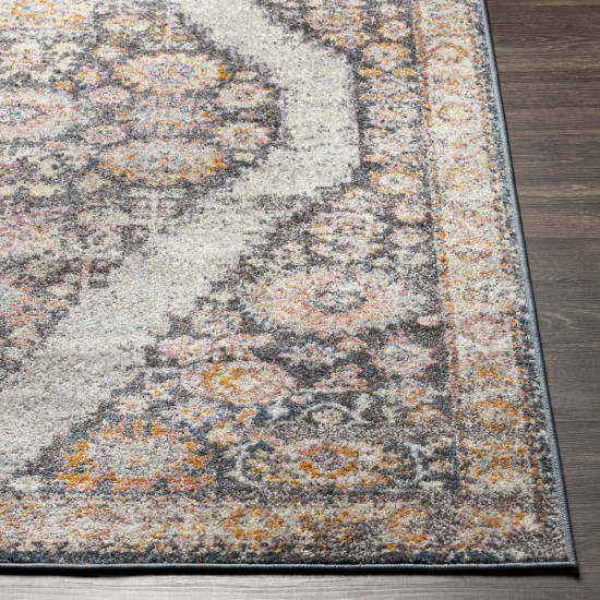 Surya New Mexico Nwm-2362 Burnt Orange Rug 5'3" X 7'3"