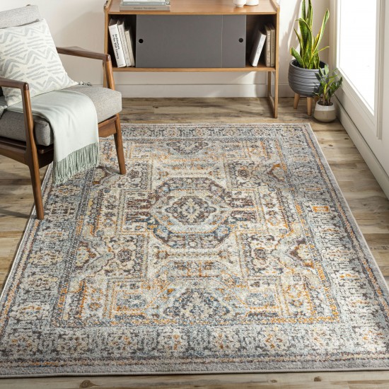 Surya New Mexico Nwm-2363 Blue Rug 7'10" X 10'3"