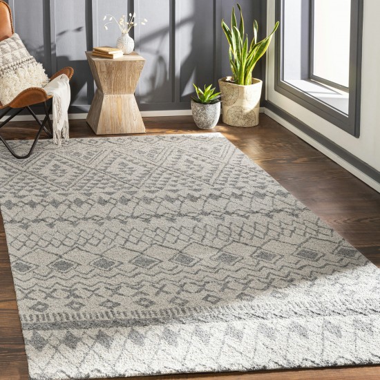 Surya Newcastle Gray Rug 2' X 3'