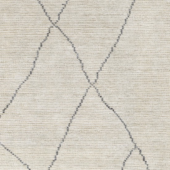 Surya Nalan Off-White Rug 2' X 3'