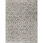 Surya Nomadic Nmc-2303 Rug 6'7" X 9'