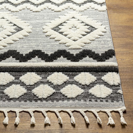 Surya Nora Noa-2301 Rug 6'7" X 9'