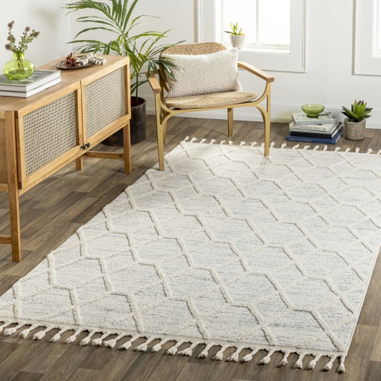 Surya Nora Noa-2311 Rug 6'7" X 9'