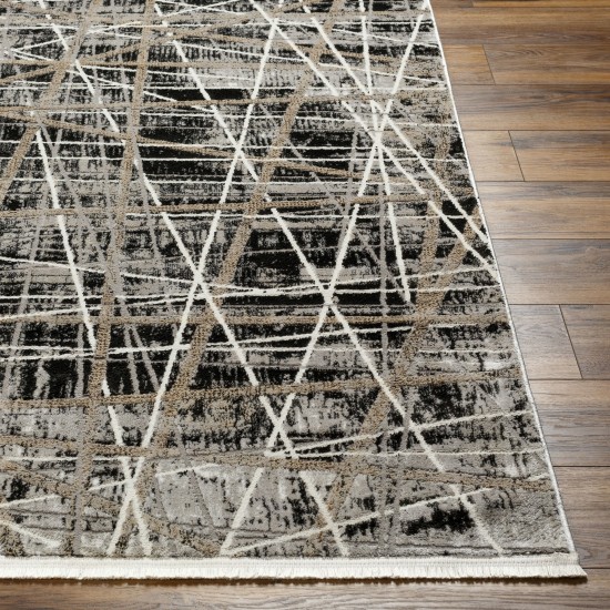 Surya Obsession Obn-2300 Rug 2' X 3'