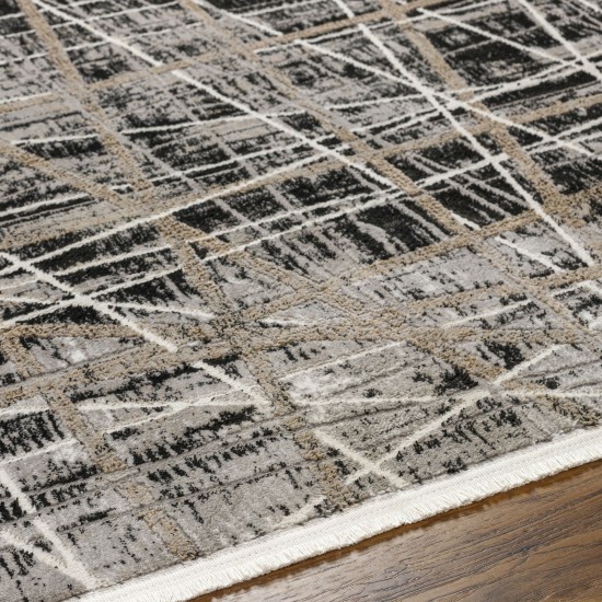 Surya Obsession Obn-2300 Rug 2' X 3'