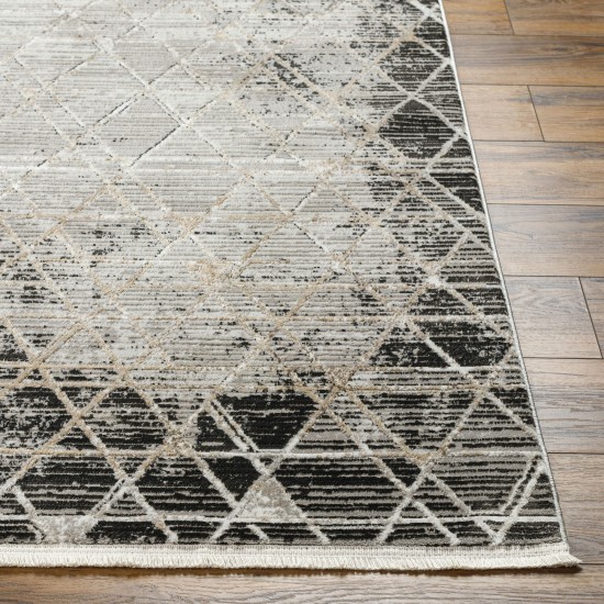 Surya Obsession Obn-2301 Rug 5'3" X 7'