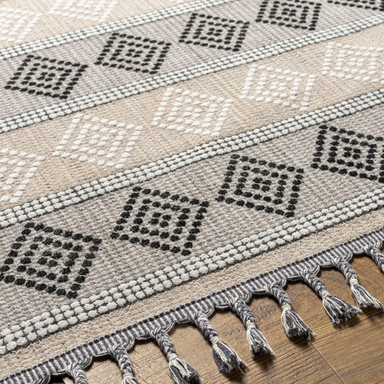 Surya Palermo Plr-2305 Rug 3'11" X 5'7"