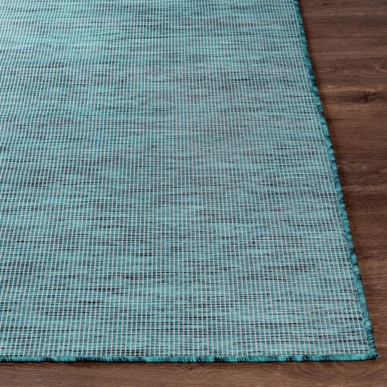 Surya Pasadena Psa-2312 Blue Rug 2'6" X 4'