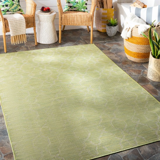 Surya Pasadena Psa-2330 Grass Green Rug 2'6" X 4'