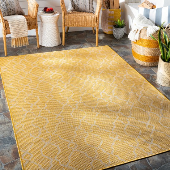 Surya Pasadena Psa-2336 Saffron Rug 2'6" X 4'