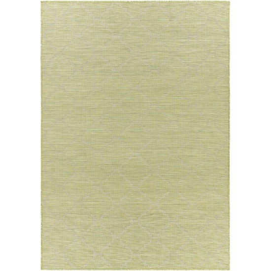 Surya Pasadena Psa-2337 Grass Green Rug 2'6" X 4'