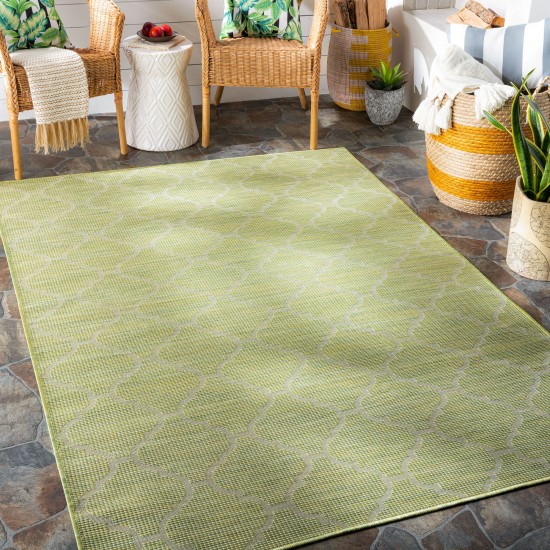 Surya Pasadena Psa-2337 Grass Green Rug 2'6" X 4'