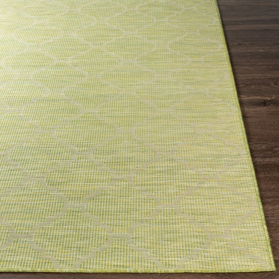 Surya Pasadena Psa-2337 Grass Green Rug 5'1" X 7'