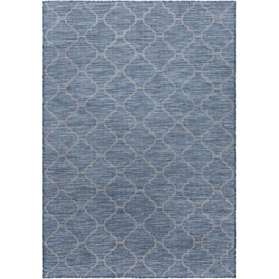 Surya Pasadena Psa-2340 Blue Rug 2'6" X 4'