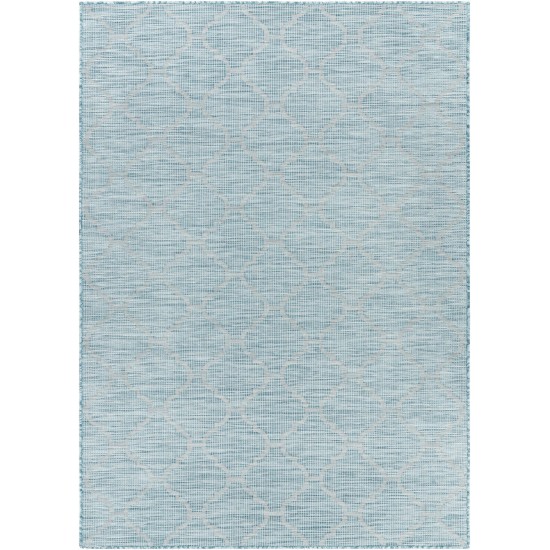 Surya Pasadena Psa-2341 Aqua Rug 2'6" X 4'