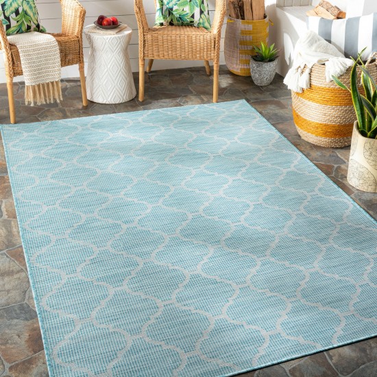 Surya Pasadena Psa-2341 Aqua Rug 2'6" X 4'