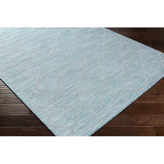 Surya Pasadena Psa-2341 Aqua Rug 2'6" X 4'