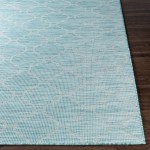 Surya Pasadena Psa-2341 Aqua Rug 2'6" X 4'