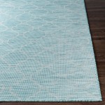 Surya Pasadena Psa-2341 Aqua Rug 2'6" X 7'3"
