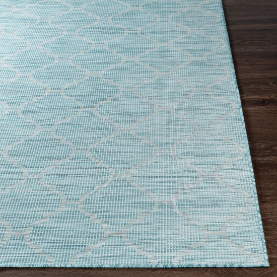 Surya Pasadena Psa-2341 Aqua Rug 2'6" X 7'3"