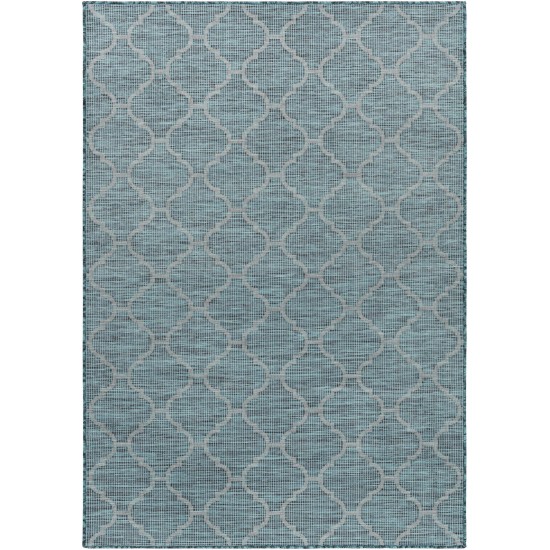 Surya Pasadena Psa-2342 Aqua Rug 2'6" X 4'