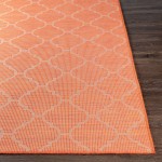 Surya Pasadena Psa-2344 Burnt Orange Rug 2'6" X 7'3"