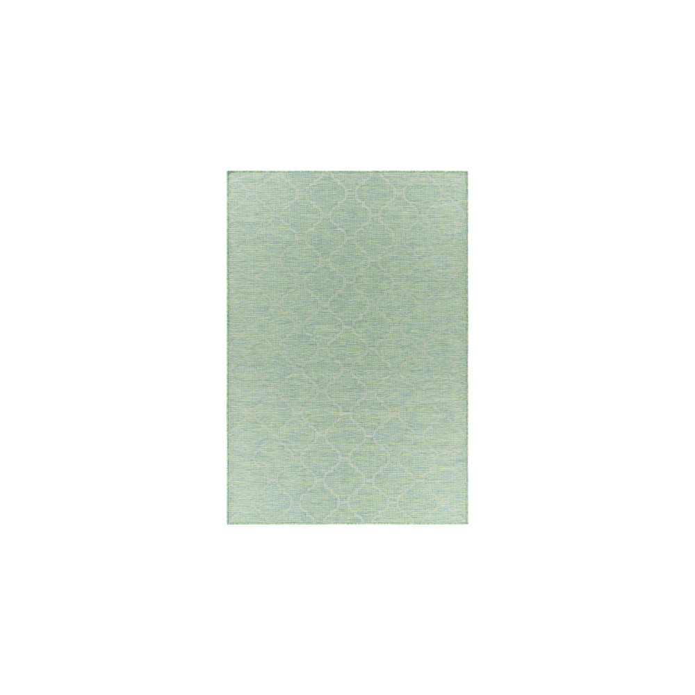 Surya Pasadena Psa-2346 Grass Green Rug 2'6" X 4'