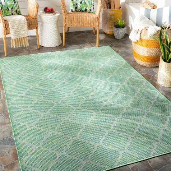 Surya Pasadena Psa-2346 Grass Green Rug 2'6" X 4'