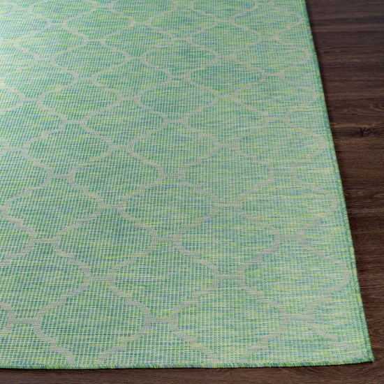 Surya Pasadena Psa-2346 Grass Green Rug 7'8" X 10'