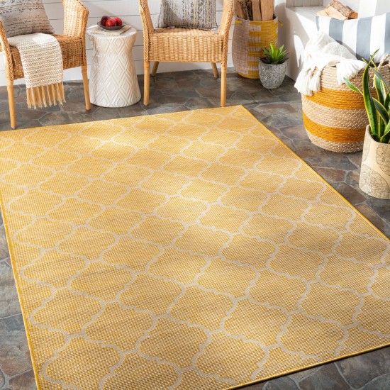 Surya Pasadena Psa-2347 Saffron Rug 2'6" X 4'