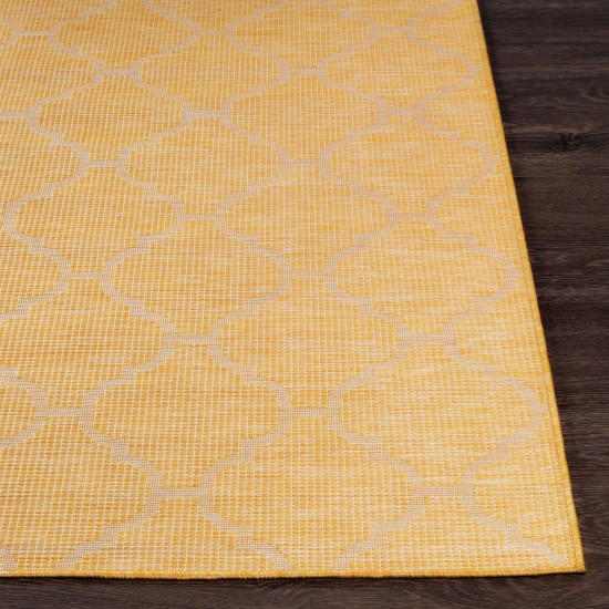 Surya Pasadena Psa-2347 Saffron Rug 2'6" X 4'