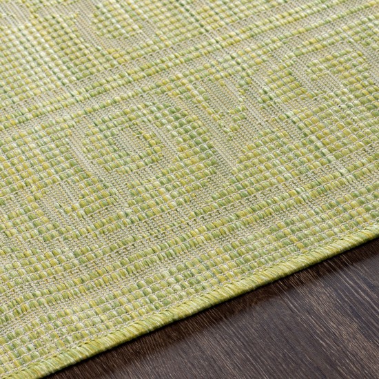Surya Pasadena Psa-2355 Sage Rug 6'4" X 9'