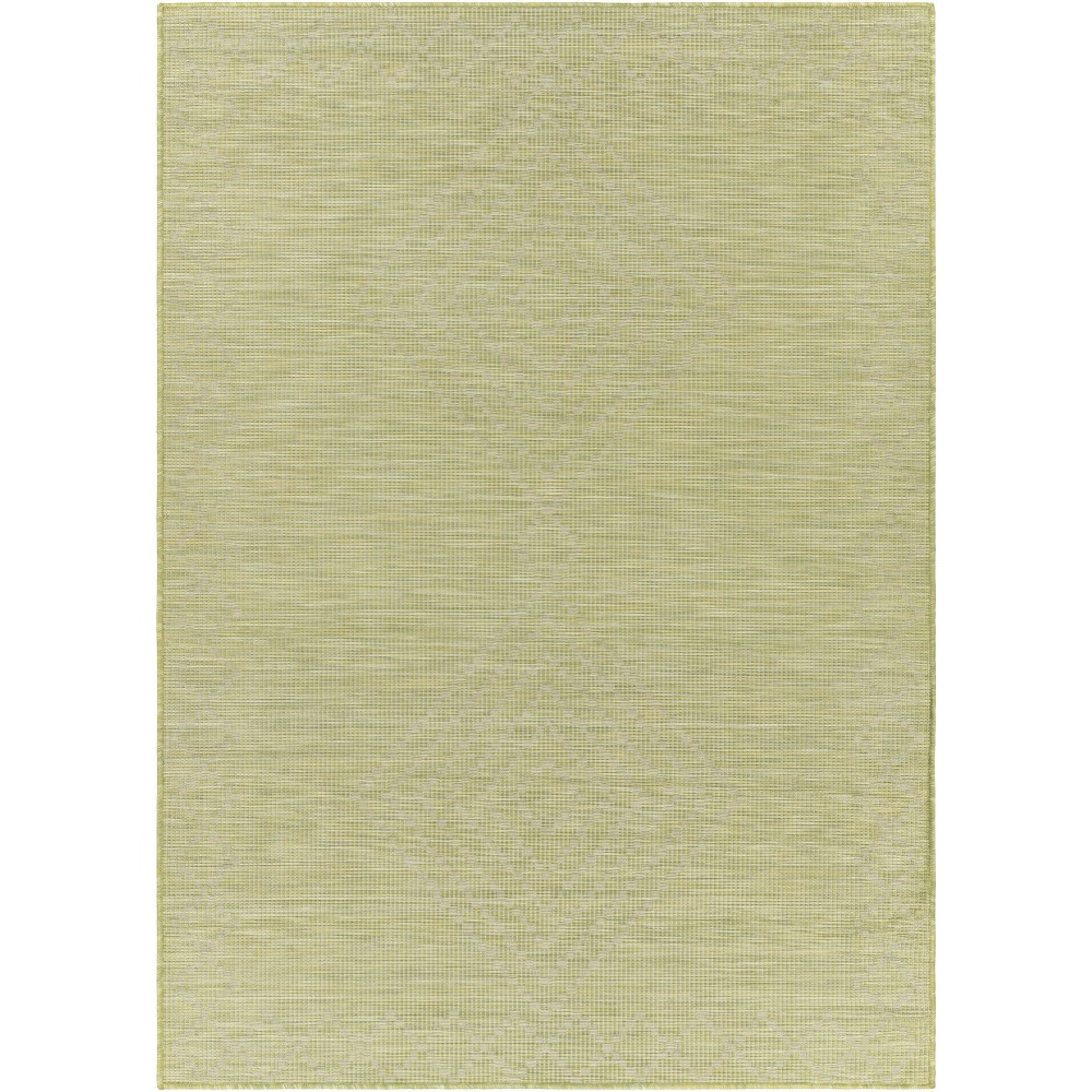 Surya Pasadena Psa-2366 Sage Rug 2'6" X 4'