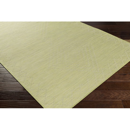 Surya Pasadena Psa-2366 Sage Rug 2'6" X 4'