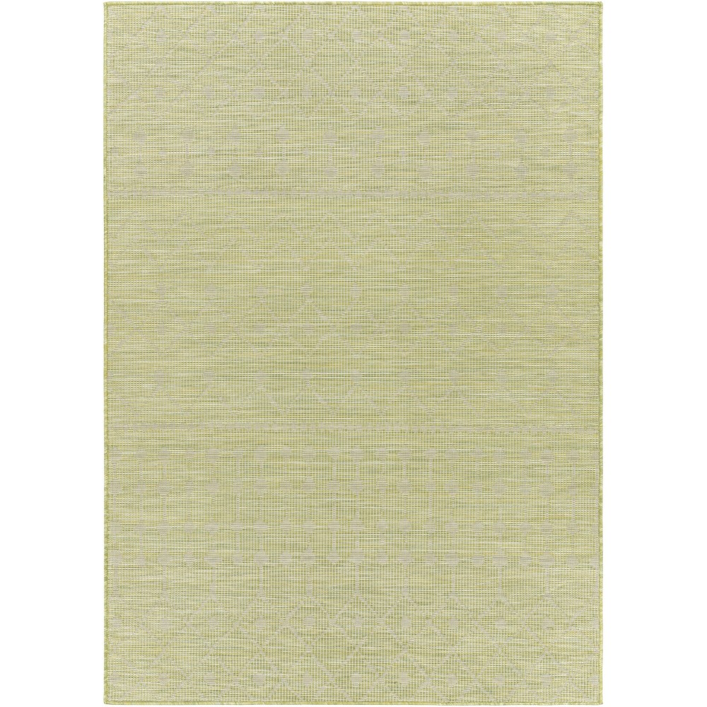 Surya Pasadena Psa-2372 Sage Rug 2'6" X 4'