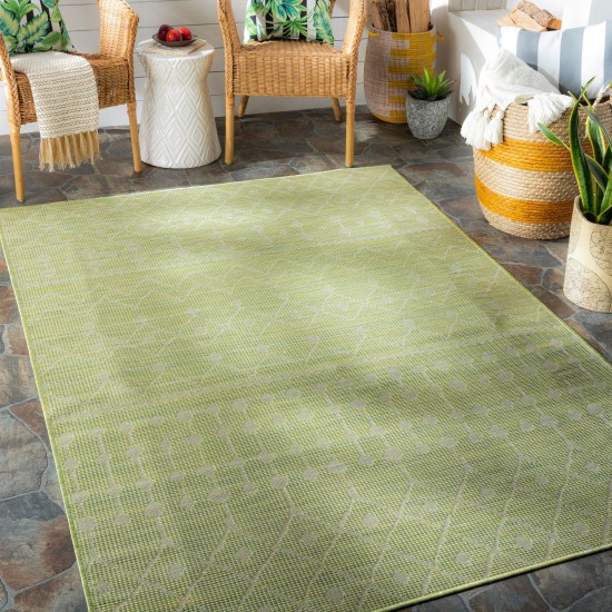 Surya Pasadena Psa-2372 Sage Rug 2'6" X 4'