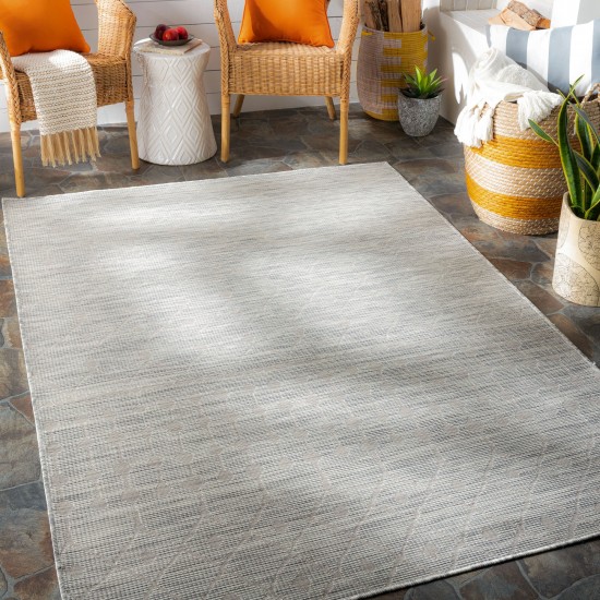 Surya Pasadena Psa-2376 Light Beige Rug 2'6" X 4'