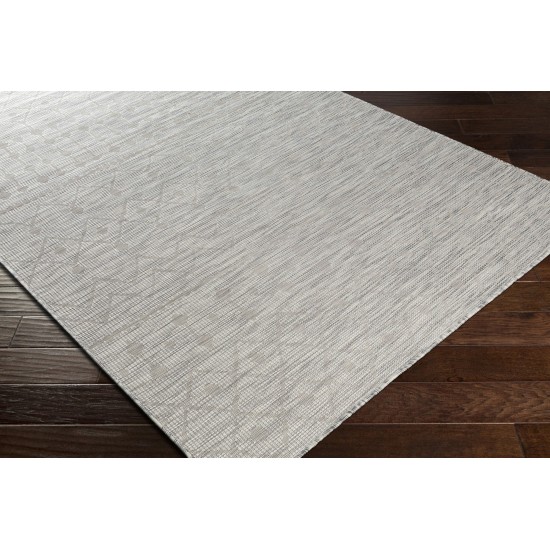 Surya Pasadena Psa-2376 Light Beige Rug 2'6" X 4'