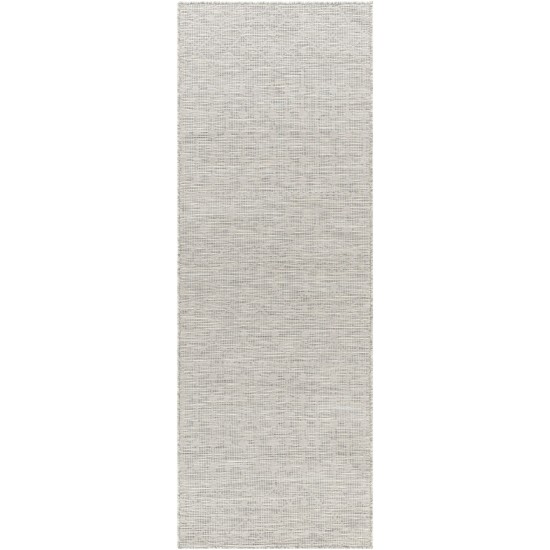 Surya Pasadena Psa-2376 Light Beige Rug 2'6" X 7'3"